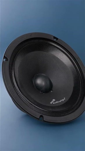 Audiopipe APMB-8SB-E delivers 250W peak power, 8Ω impedance, and a sealed-back steel basket