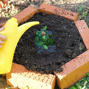 Keep Gardening Fun with These Stress-Free Tips | Green Bean