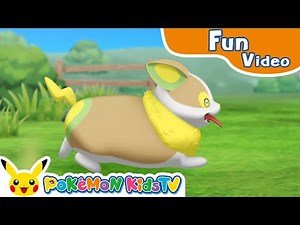 Visual Pokédex - Yamper - | Pokémon Fun Video | Pokémon Kids TV