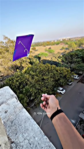 Blue Kite Flying🪁