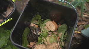 Bokashi is the Japanese process of pickling your food waste to keep it out of landfill. It's small scale, odour free and be great for your soil! | Seven Sharp