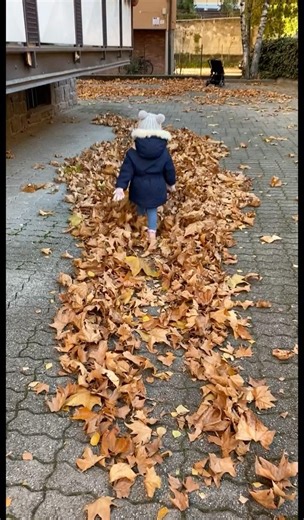 So Satisfying! Baby Steps on Crunchy Leaves 🍂✨ #ASMR #shorts #autumn #satisfying