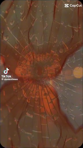 Vidéos de Amine 31 (@amine.31980) avec son original - Amine 31