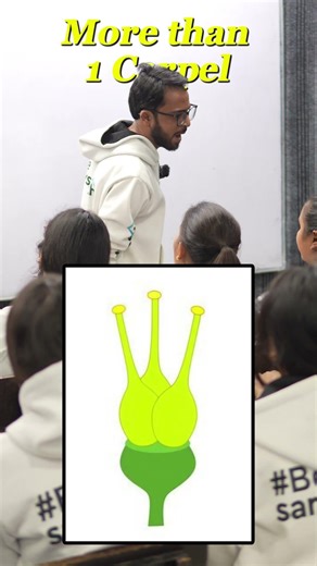 Female Reproductive System | Sexual Reproduction in Flowering Plants | Class 12 Biology NCERT | NEET