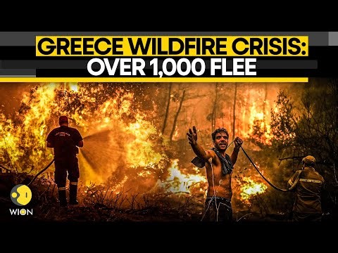 Greece Wildfire LIVE: Thousands Of Tourists Evacuate As Massive Blaze Sweeps Greek Island | WION