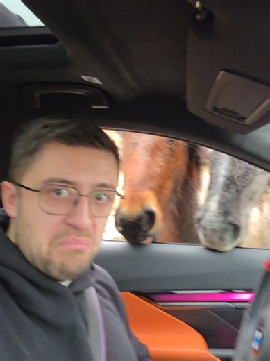 BMW M5 Touring Experience: Family Fun and Wild Horses