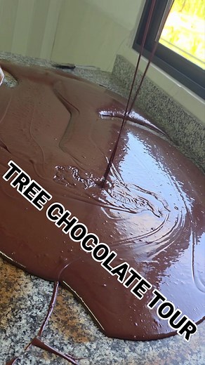 EL MEJOR CHOCOLATE 🍫 🤤 😋 Tree Chocolate Tour | Tree Chocolate Tour
