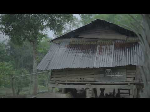 เสียงฝนตกบนหลังคาสังกะสี ที่บ้านไม้หลังเก่ายาว 5 ชม | Tin Roof Rain Sounds for Deep Sleep