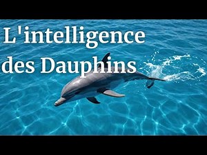 L'intelligence fascinante des dauphins : Tests et capacités cognitives