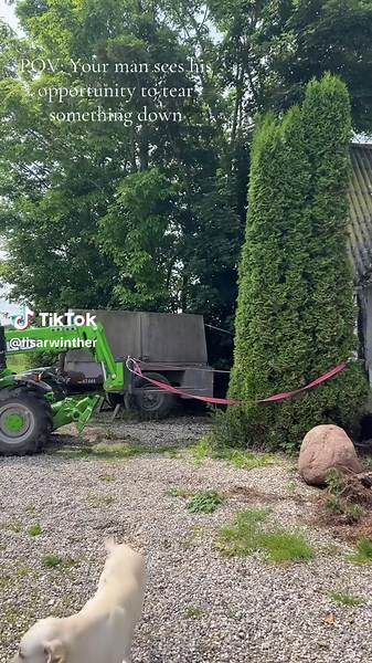 Tearing Down Timber: A POV of Machinery in Action