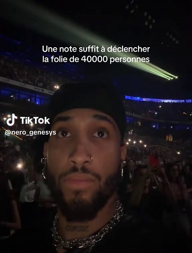 L’effet mosaïque solitaire au concert de Damso — explication et réaction