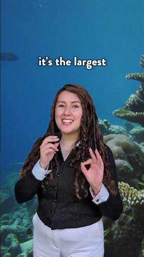 Fun facts about Australia you probably didn’t know🦘