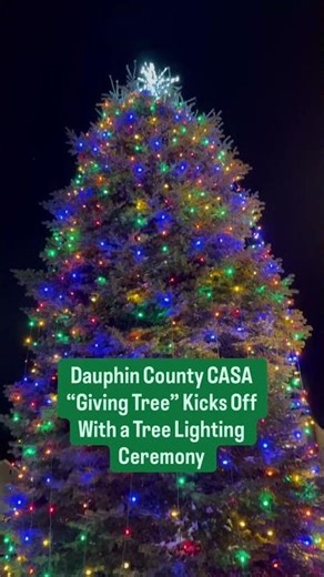 Dauphin County CASA “Giving Tree” Kicks Off With a Tree Lighting Ceremony