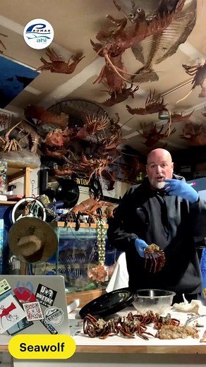 2.1K views · 20 reactions | Lobster Hoop Netting LIVE 咽 | SoCal...