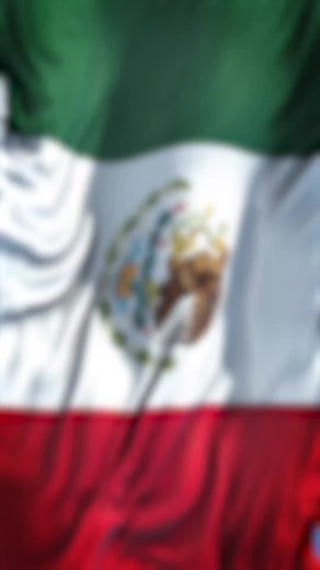 #🇲🇽 #mexico #militaryranks #militar #militarmexicano #ejercito #ejercitomexicano #fuerzasarmadasdemexico #fuerzasarmadas #fuerzasespeciales #fuerzas #mexico🇲🇽 #military #mexicanarmy