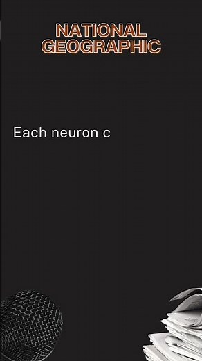 Unlocking the Mysteries of the Human Brain: Exploring its 86 Billion Neurons
