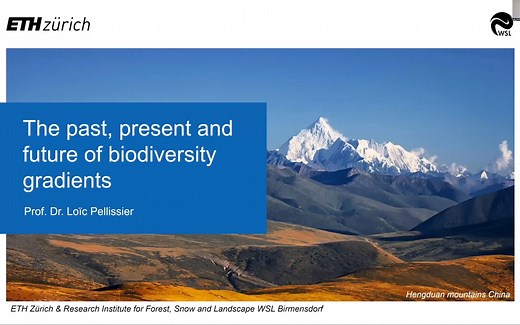 EcoTalks回放 ｜生物多样性梯度的过去、现在与未来