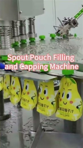 Spout Pouch Filling and Capping Machine | Automatic Pouch Packaging Solution
