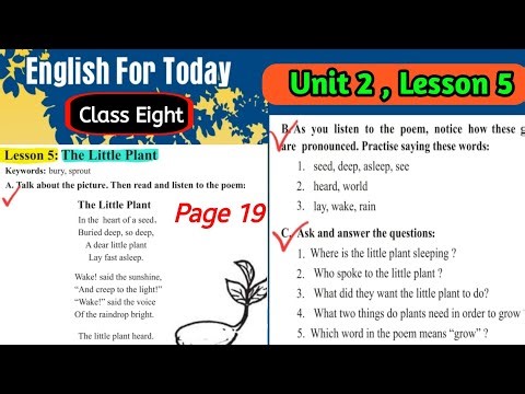 Class 8 english unit 2 lesson 5 2026 | Class eight english page 19 | English class 8 page 19 |