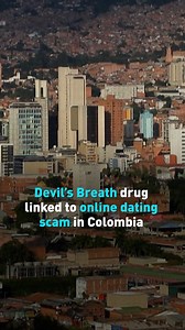 1K views · 42 reactions | Medellin, Columbia is experiencing a rise in attacks on foreigners involving Devil’s Breath, a drug is extracted from the seeds of the the nightshade Brugmansia. When ingested, victims can experience amnesia. #Colombia #cgtnamerica #DevilsBreath #drug | CGTN | Facebook