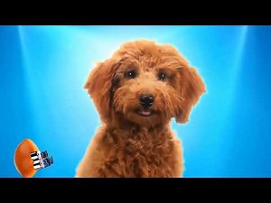 Animal Planet | Puppy Bowl XIX | TV Commercial
