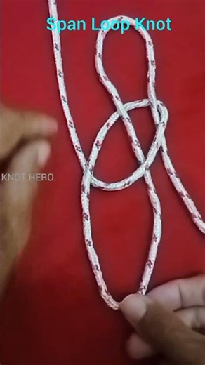 This camping knot name is Span Loop, easy to follow, i believe this is very useful