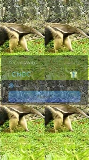 Amazon Animals 4k Wonderful Wildlife Movie With Soothing Music 5624s