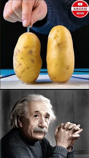 Potato Power Experiment You Must See! ⚡