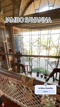 Disney's Animal Kingdom Lodge: The Ultimate Disney Resort Experience!"