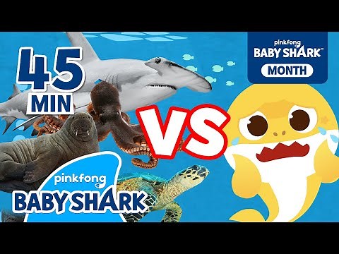 Baby Shark vs Sea Animals | +Compilation | Baby Shark Songs | Baby Shark Official