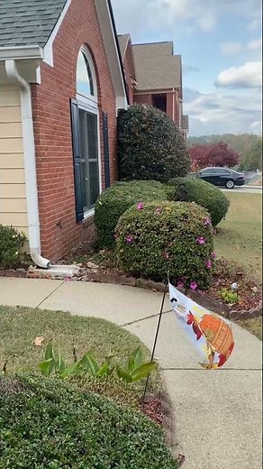 Snow Flurries in Duluth, Georgia
