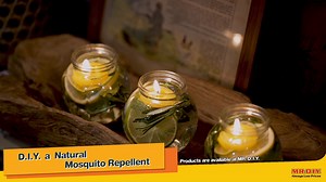 2.5K views · 27 reactions | Get rid of mosquitoes the natural way with this life hack from MR. DIY!  #MRDIY #AlwaysLowPrices | MR DIY | Facebook