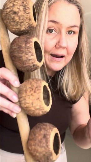 AGOGO COM 5 CASTANHAS