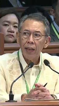 Chel Diokno irritated with Shiela Sison readiness for the witness #saraimpeachment #saraduterte