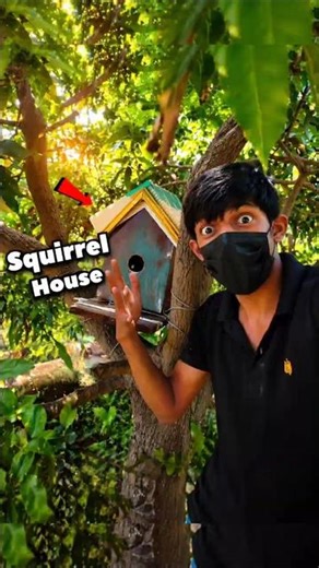 Meet New Friend Squirrel 🐿️ #minivlog