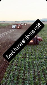 Some beet harvest action without the beacons on! #hurstbrandfarms #farm #farming #regenag #food #harvest #sugar #beet #nobeacons #bto #morning #trucks #tractors | Hurst Brand Farms