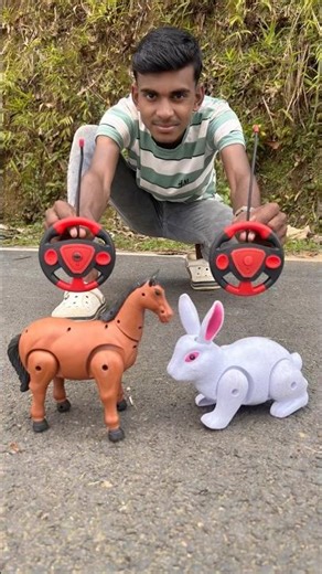 Mara Naya Do Rc Horse Vs Remote Control Rabbit Ki Unboxing Doko