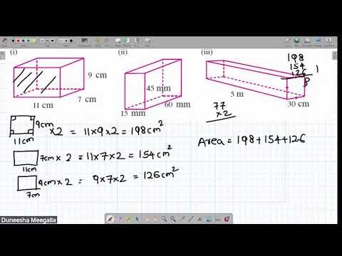 Grade 8 English Medium Maths Class