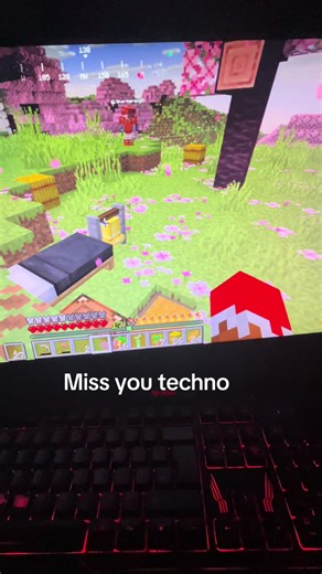 Tribute to Technoblade: A Final Chat