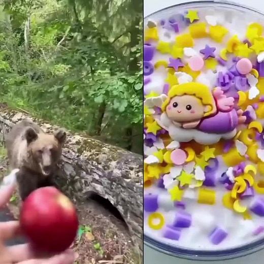 Heftebecer on TikTok