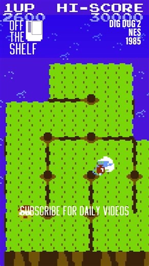 Dig Dug 2 - NES #youtubeshorts #retrogaming #gameplay #comedy