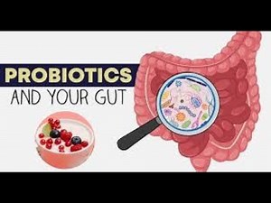 Importance of pre,pro and post biotics