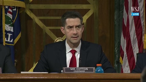 Watch: Tulsi Gabbard's Full Confirmation Hearing