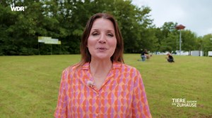 Tiere suchen ein Zuhause: Tiere suchen ein Zuhause vom 23.06.2024