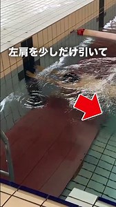 Mastering the breaststroke posture is done by placing your face down