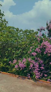7K views · 197 reactions | Beautiful view from Biotechnology and Genetic Engineering Building  Jahangirnagar University Video by Akib #aesthetic_ju | Aesthetic JU | Facebook
