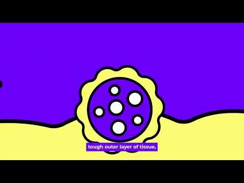 How does Immunotherapy work?