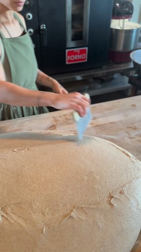 6.4K views · 902 reactions | Opinions in Sourdough… . I remember when...