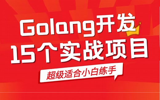【2023最全实战项目】15个Golang练手项目合集，学习Golang开发必备，十天练完就业无忧练项目经验/毕设