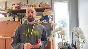 Watch the camera can be connected using a 2.4GHz&5GHz WiFi&RJ45 Cable on Amazon Live